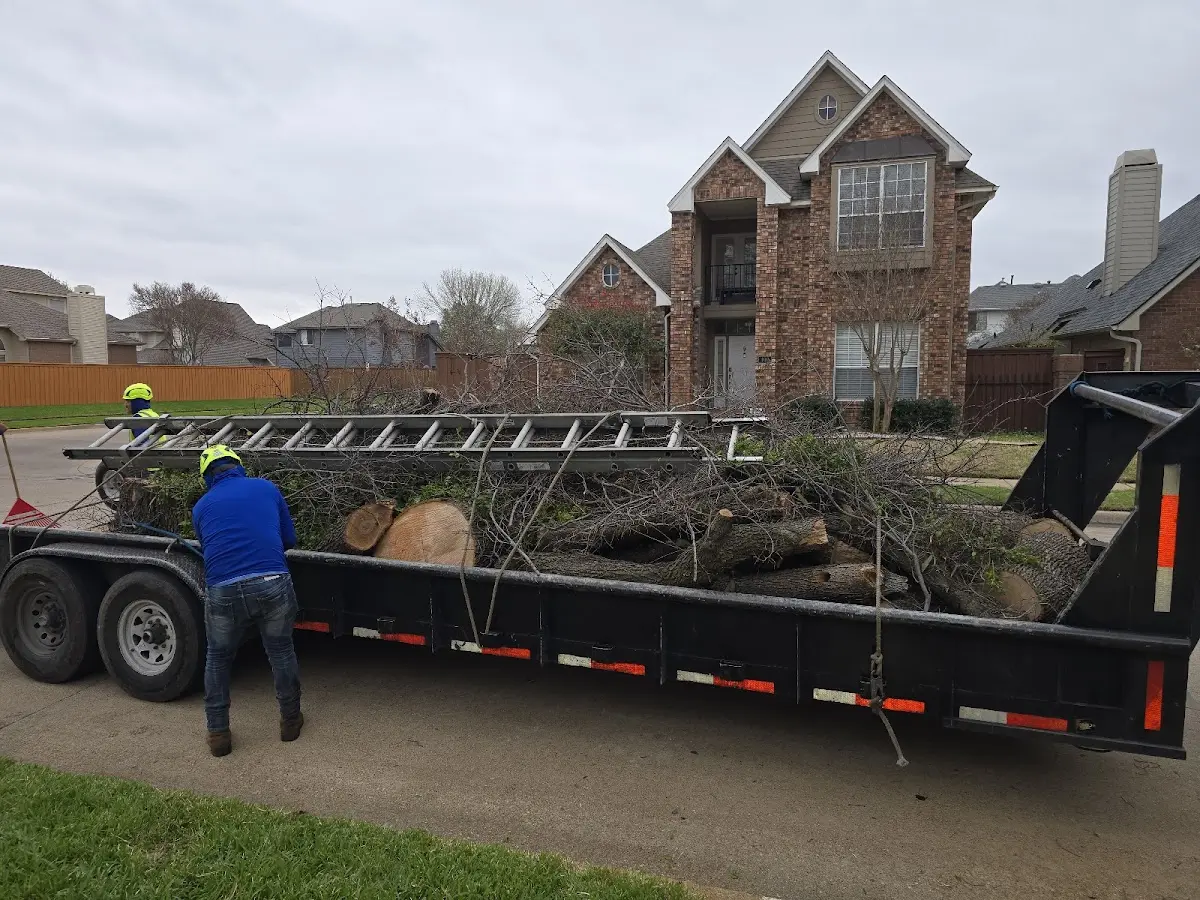 Expert Lot Clearing with proper safety equipment in Pierpont